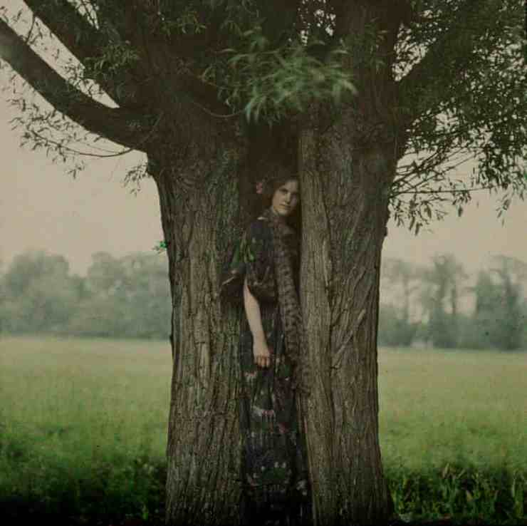 The-Dryad-by-John-Cimon-W-001